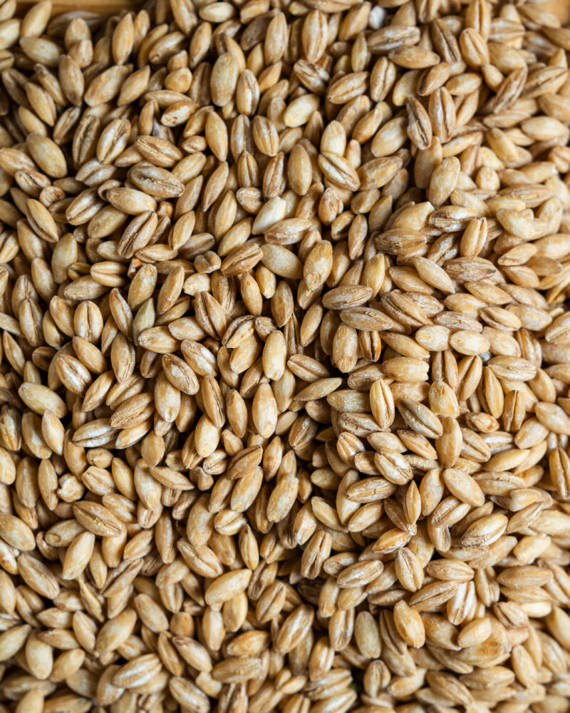 Orzo Perlato - immagine 2